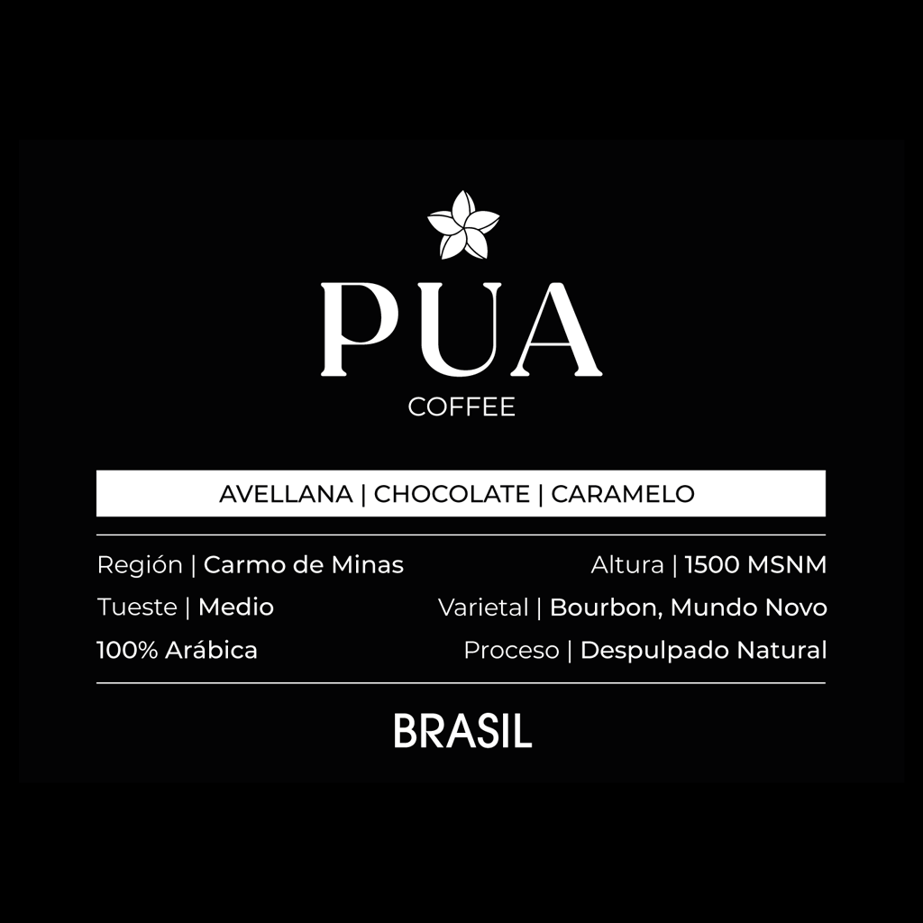 BRASIL 🇧🇷  - Café de Especialidad
