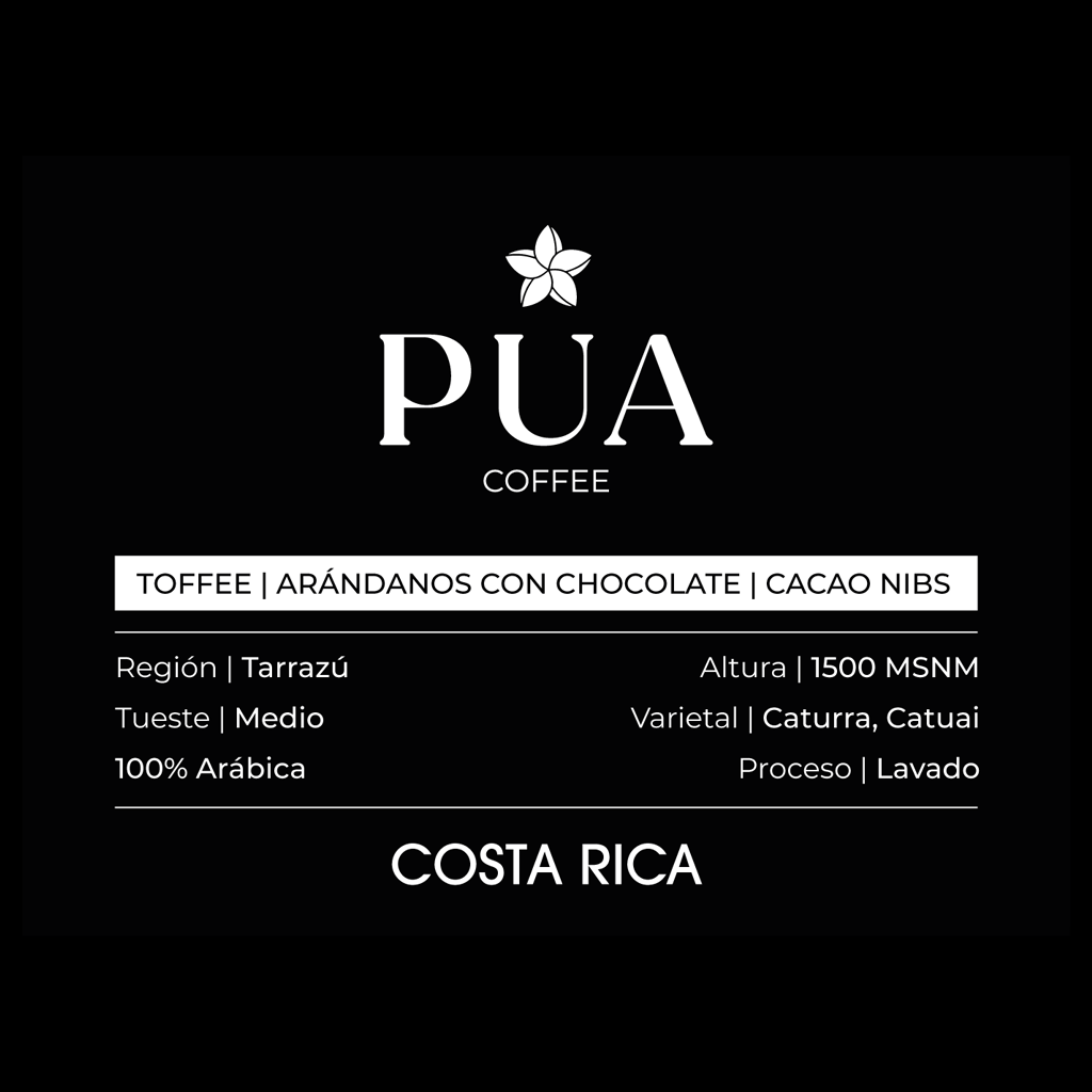 COSTA RICA 🇨🇷  - Café de Especialidad